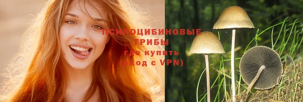винт Бугульма