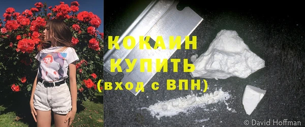 молекула духа Бронницы