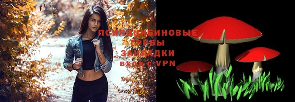 МДПВ Богородицк