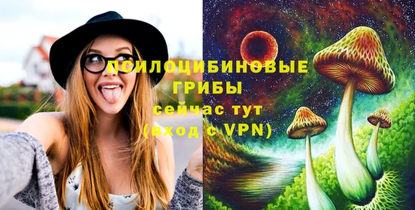МДПВ Богородицк