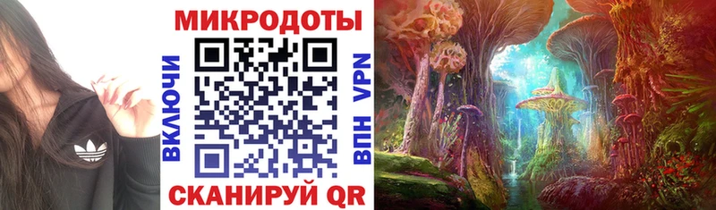 закладки  darknet наркотические препараты  Галлюциногенные грибы прущие грибы  Дальнегорск 